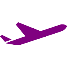 airplane roxo.png
